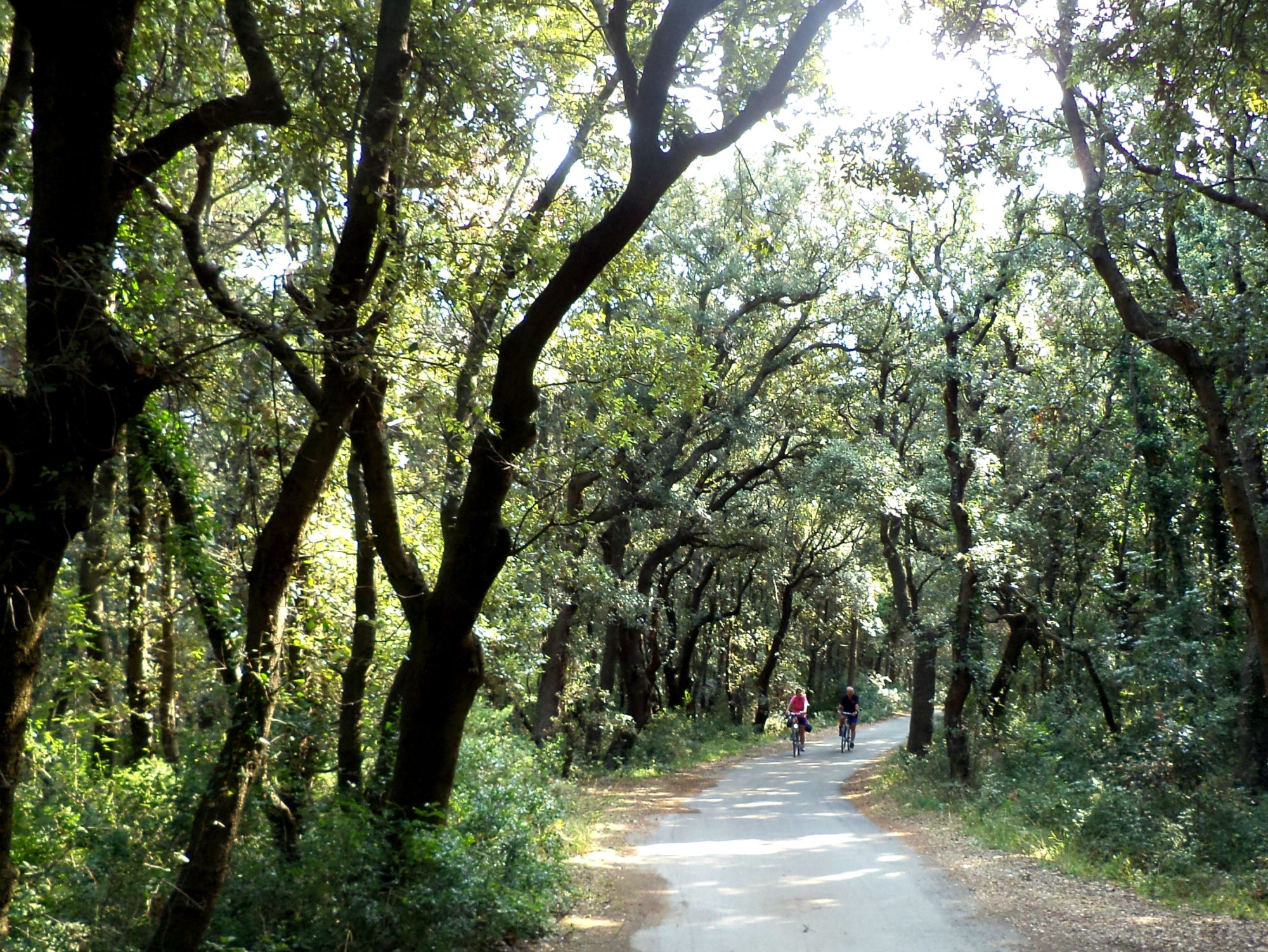 Dundo Forest Beach