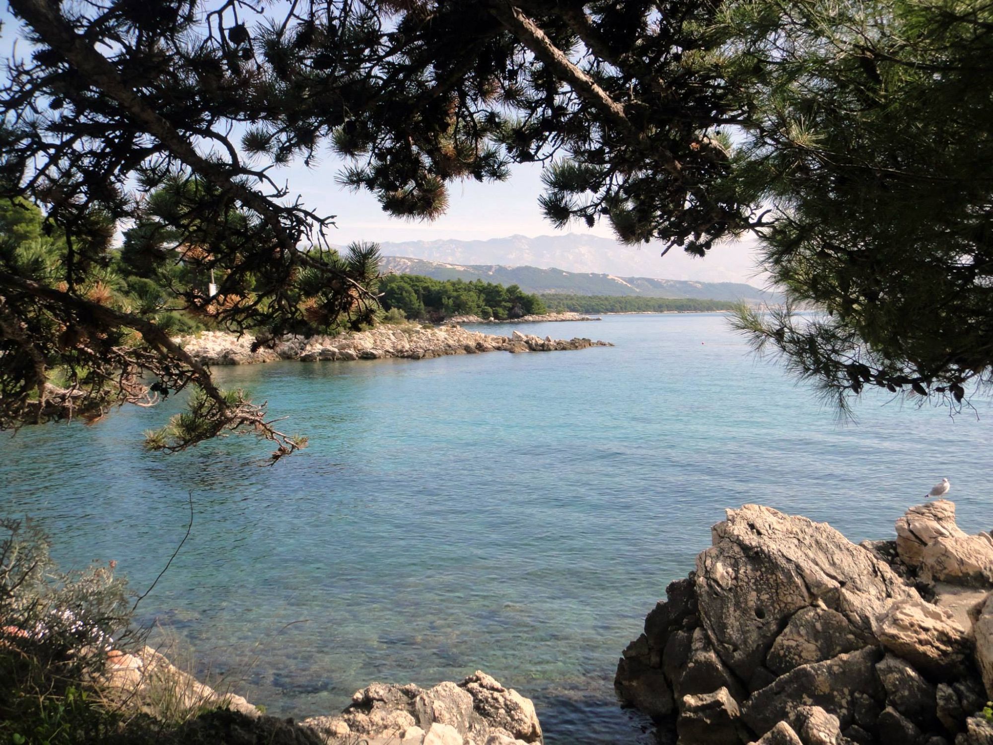 Plaža Kampor